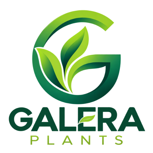 Galera Plants